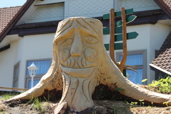 waldgeist hotel zum schneekopf